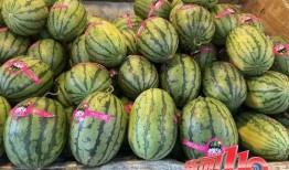 莱州大瓜爆料视频最新,惊人内幕曝光，真相令人震惊！